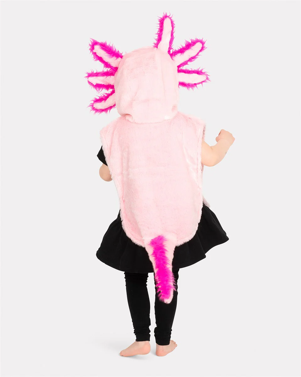 Pikkukuva 2