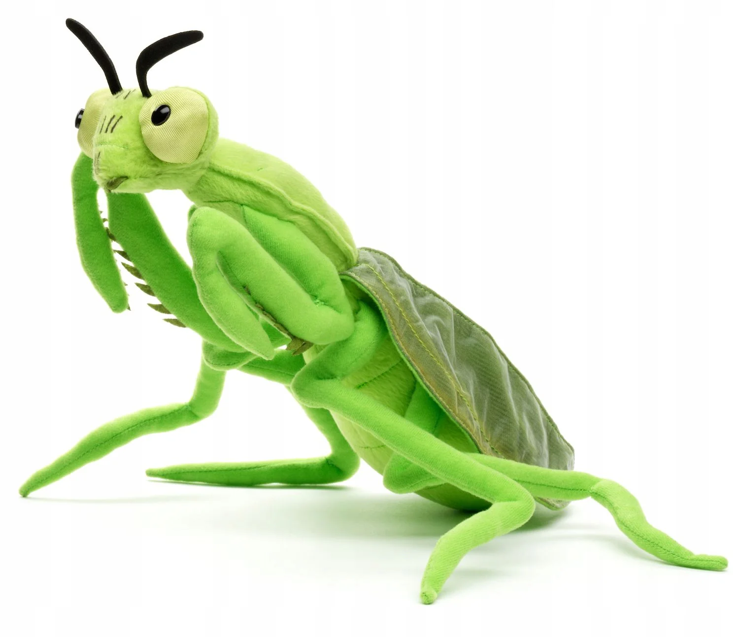Pikkukuva 2