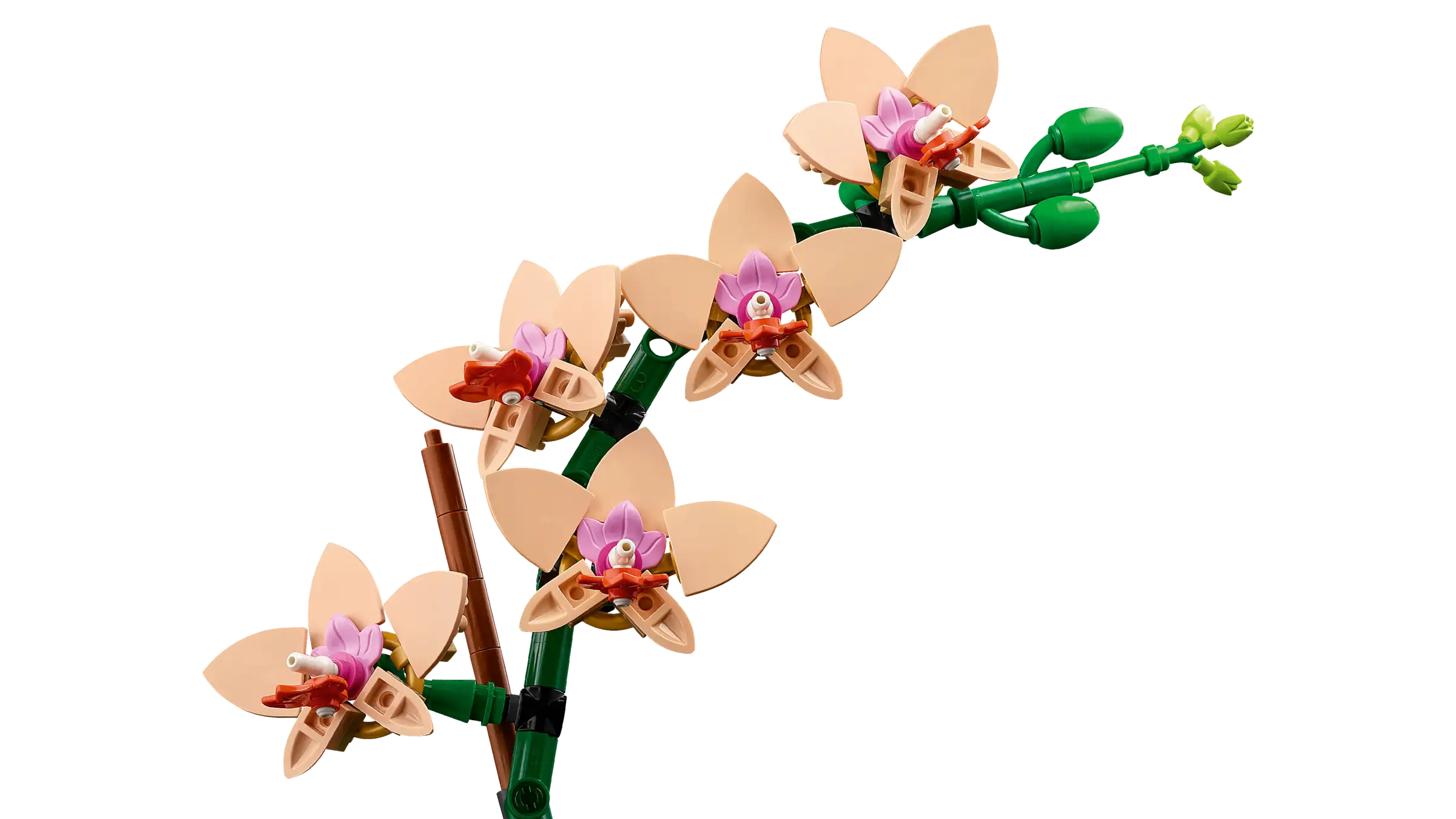 Pikkukuva 5