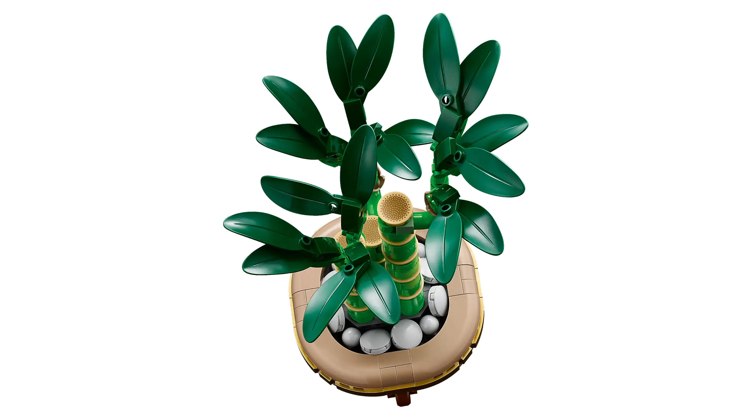 Pikkukuva 5