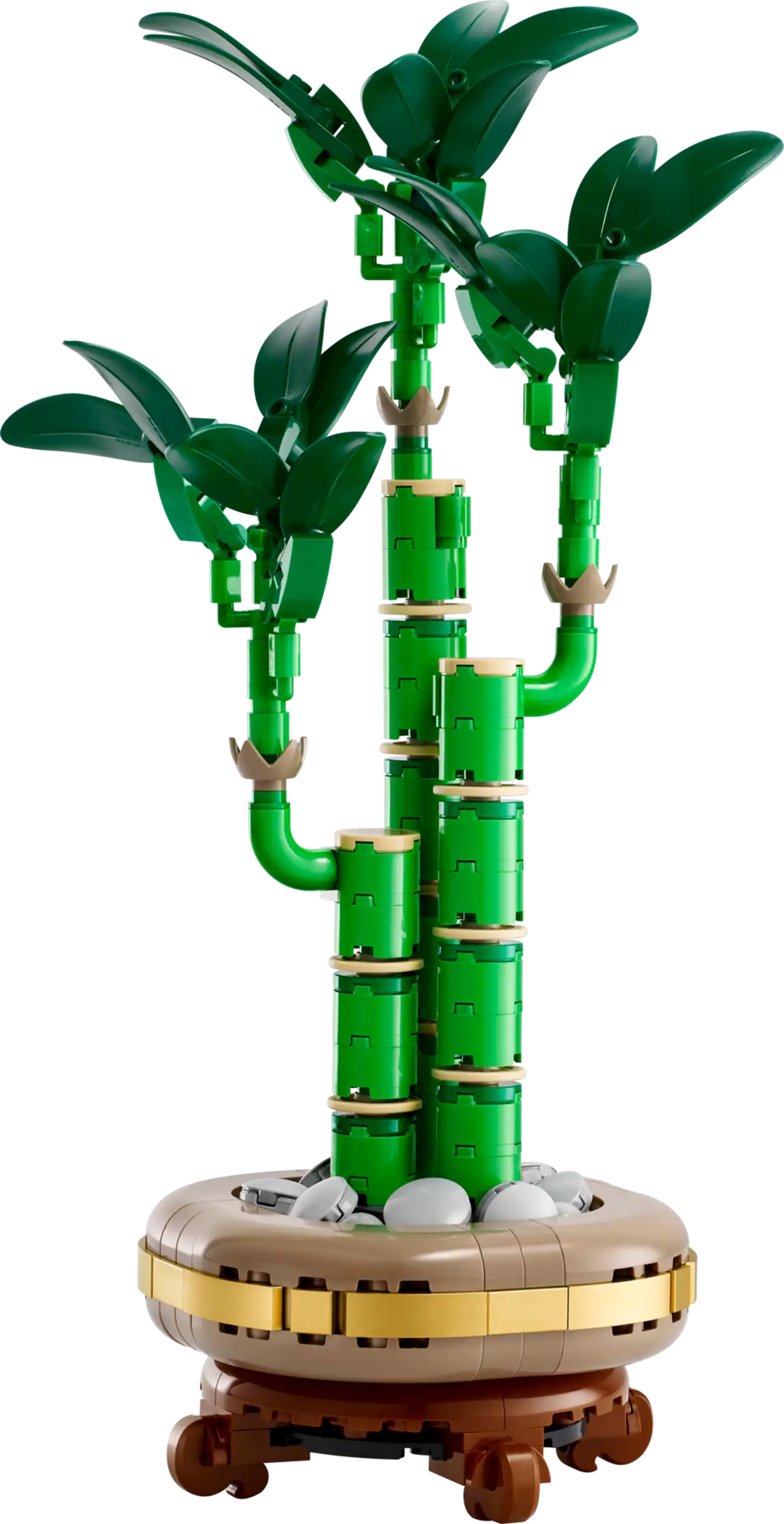 Pikkukuva 6