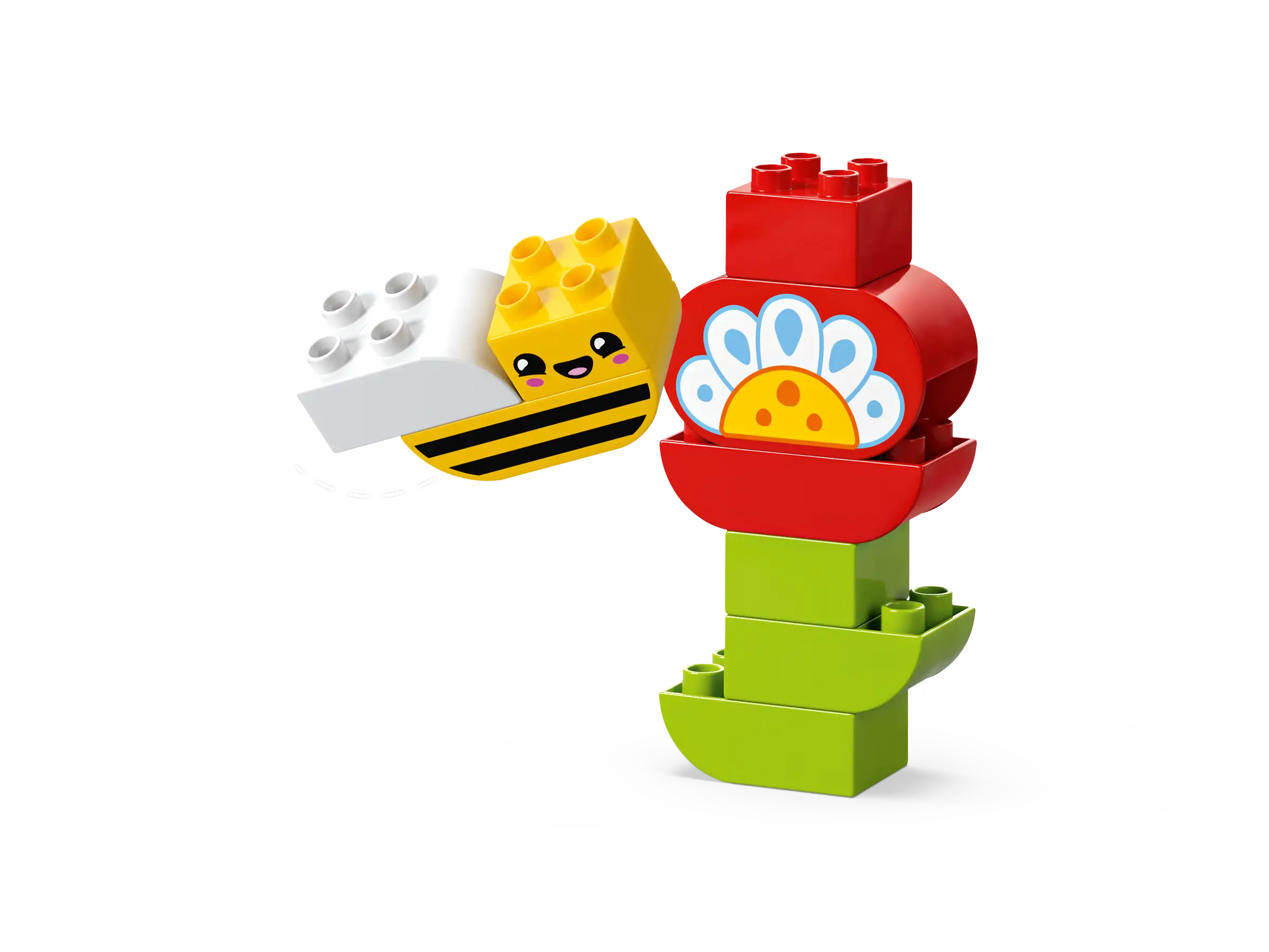 Pikkukuva 5