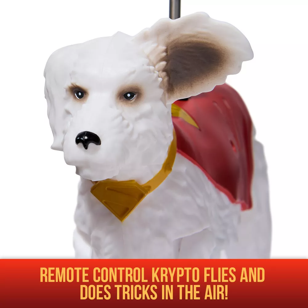 Pikkukuva 5